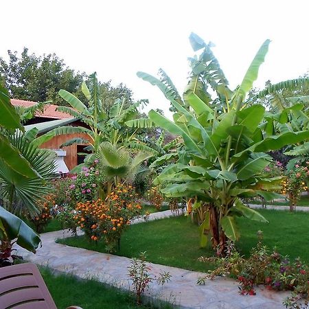 Estelar Bungalow Çıralı Εξωτερικό φωτογραφία