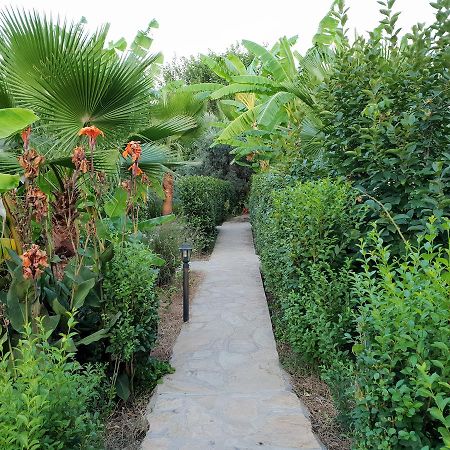 Estelar Bungalow Çıralı Εξωτερικό φωτογραφία