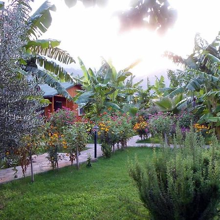 Estelar Bungalow Çıralı Εξωτερικό φωτογραφία