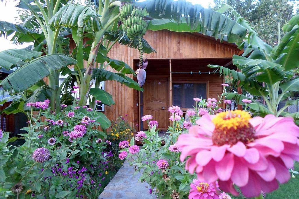 Estelar Bungalow Çıralı Εξωτερικό φωτογραφία