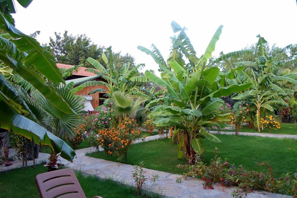 Estelar Bungalow Çıralı Εξωτερικό φωτογραφία