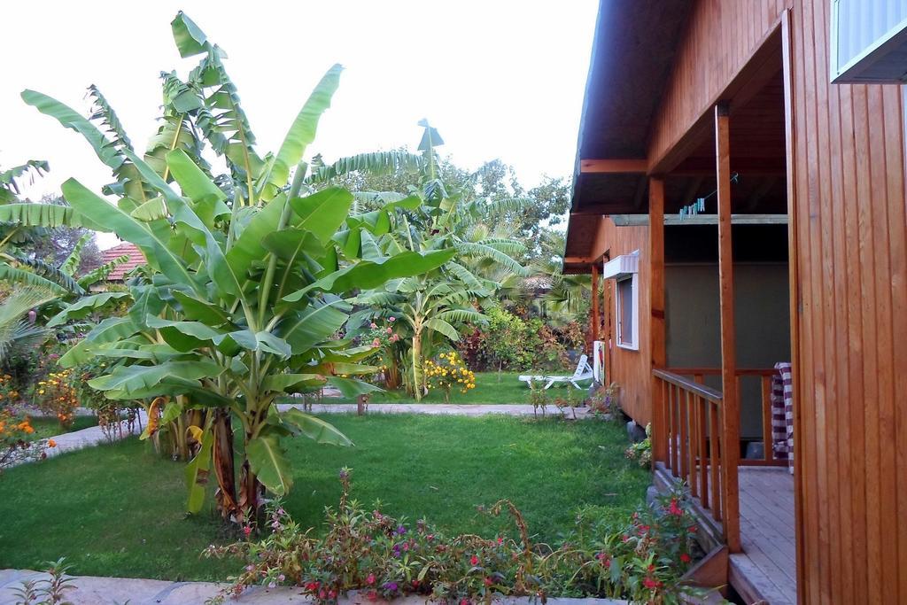 Estelar Bungalow Çıralı Εξωτερικό φωτογραφία