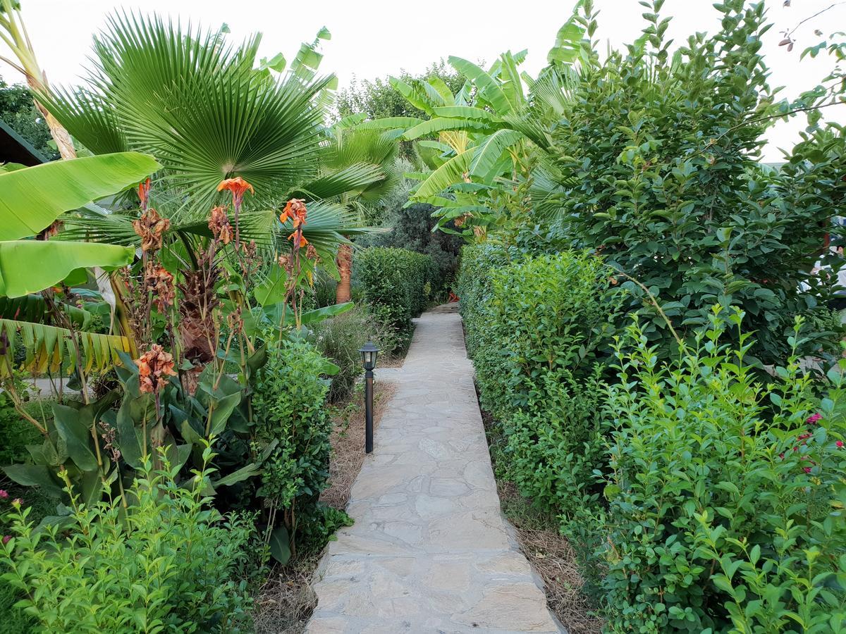 Estelar Bungalow Çıralı Εξωτερικό φωτογραφία