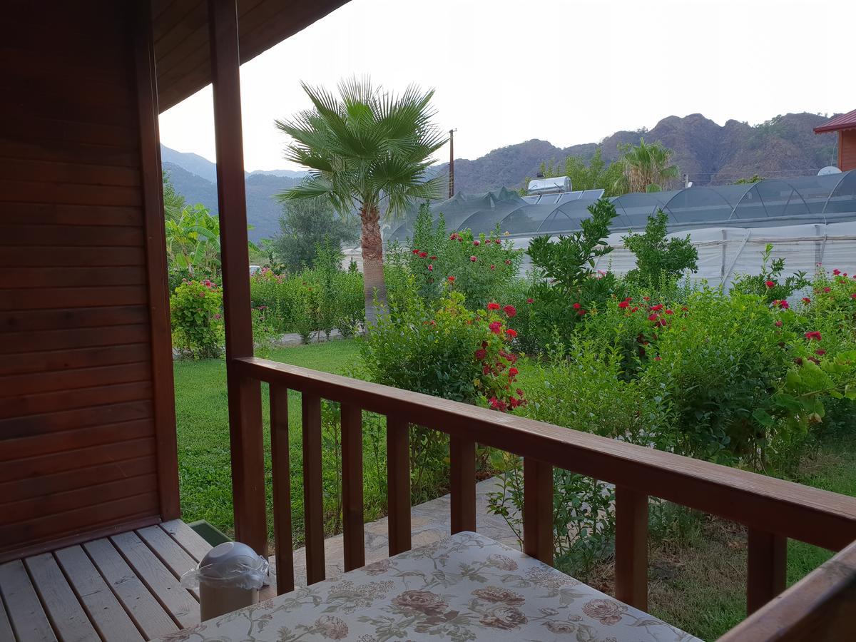 Estelar Bungalow Çıralı Εξωτερικό φωτογραφία