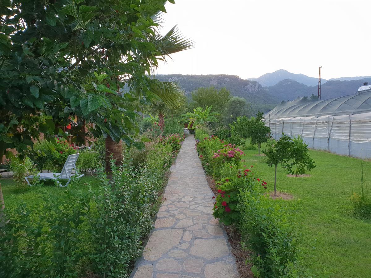 Estelar Bungalow Çıralı Εξωτερικό φωτογραφία